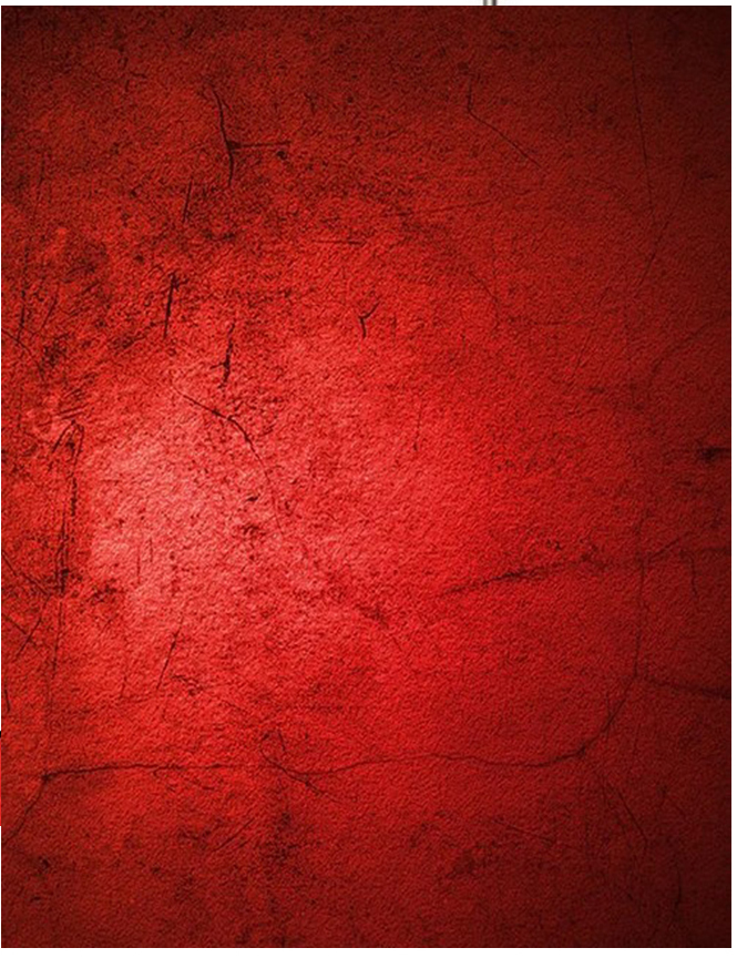 Telones de fondo rojos oscuros - Photography Dark Cloth reseña y precio