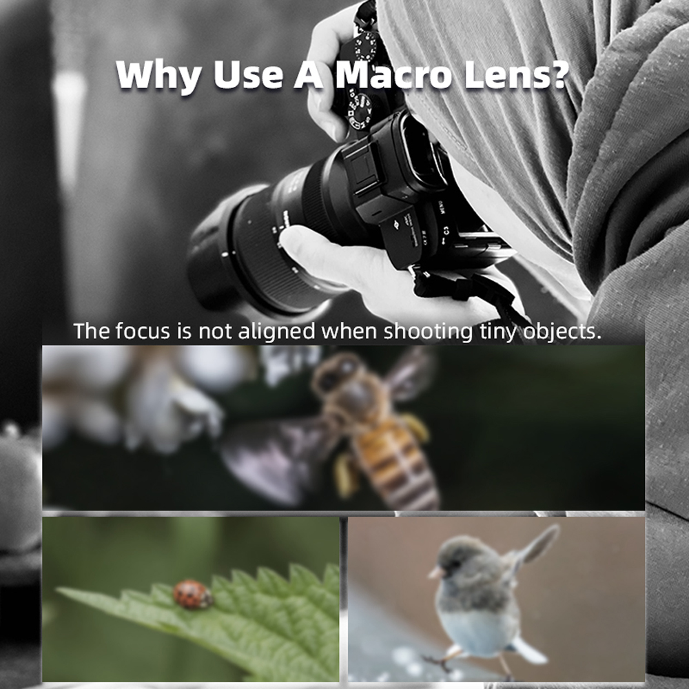 Lente Macro Magnética BRDRC pa - Photography Close Up reseña y precio